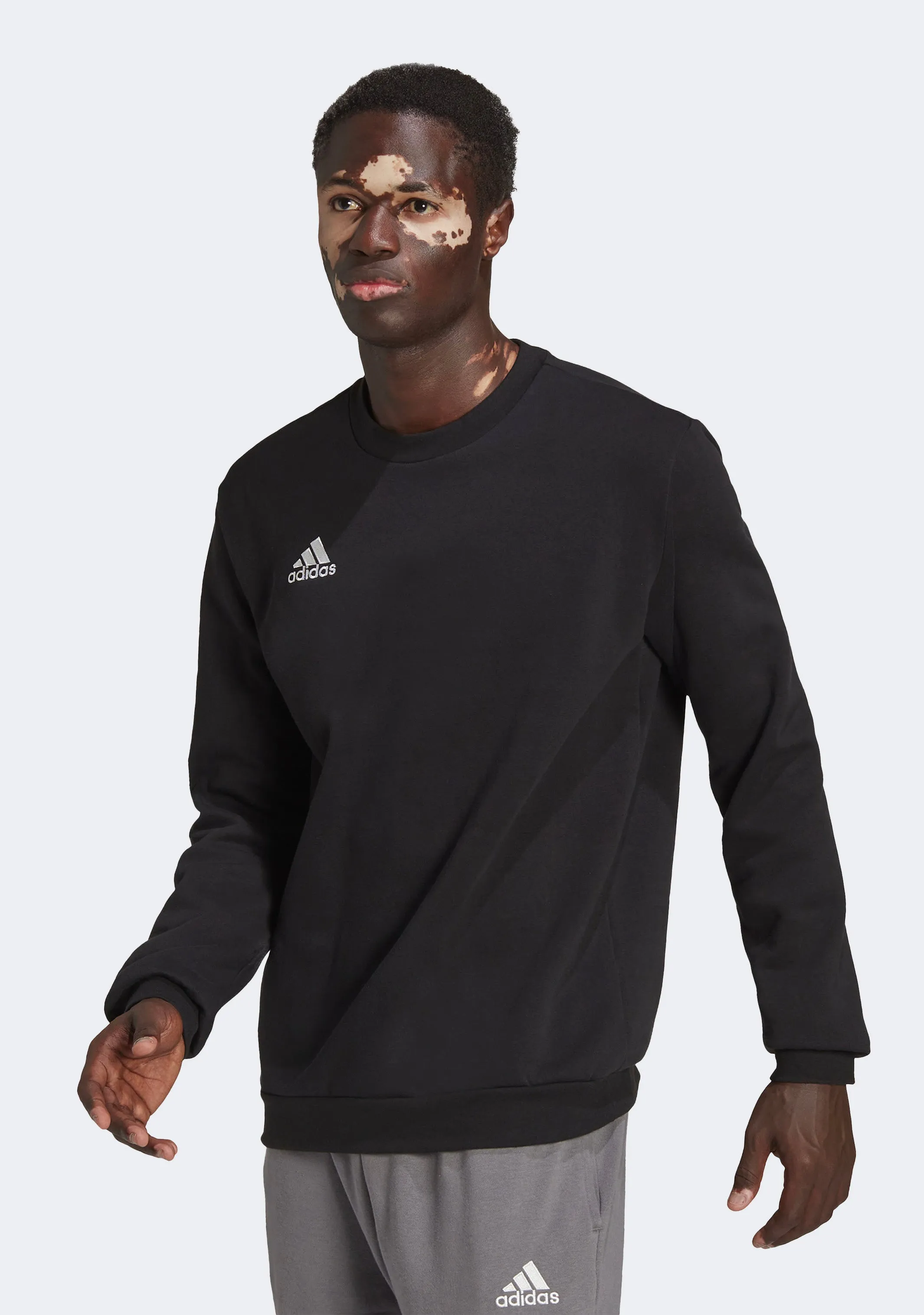 Adidas Men??s Entrada 22 Sweat Top