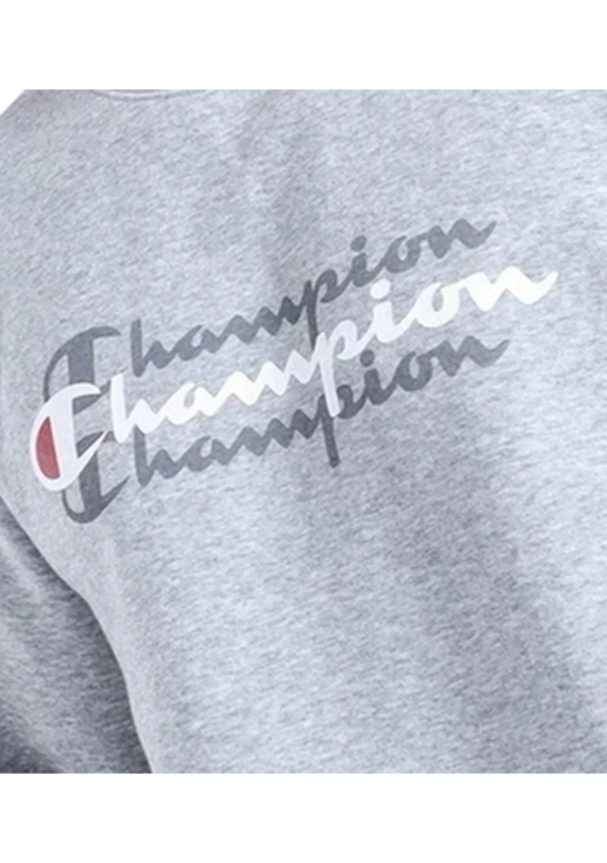 Champion Men??s Sporty Graphic Crew