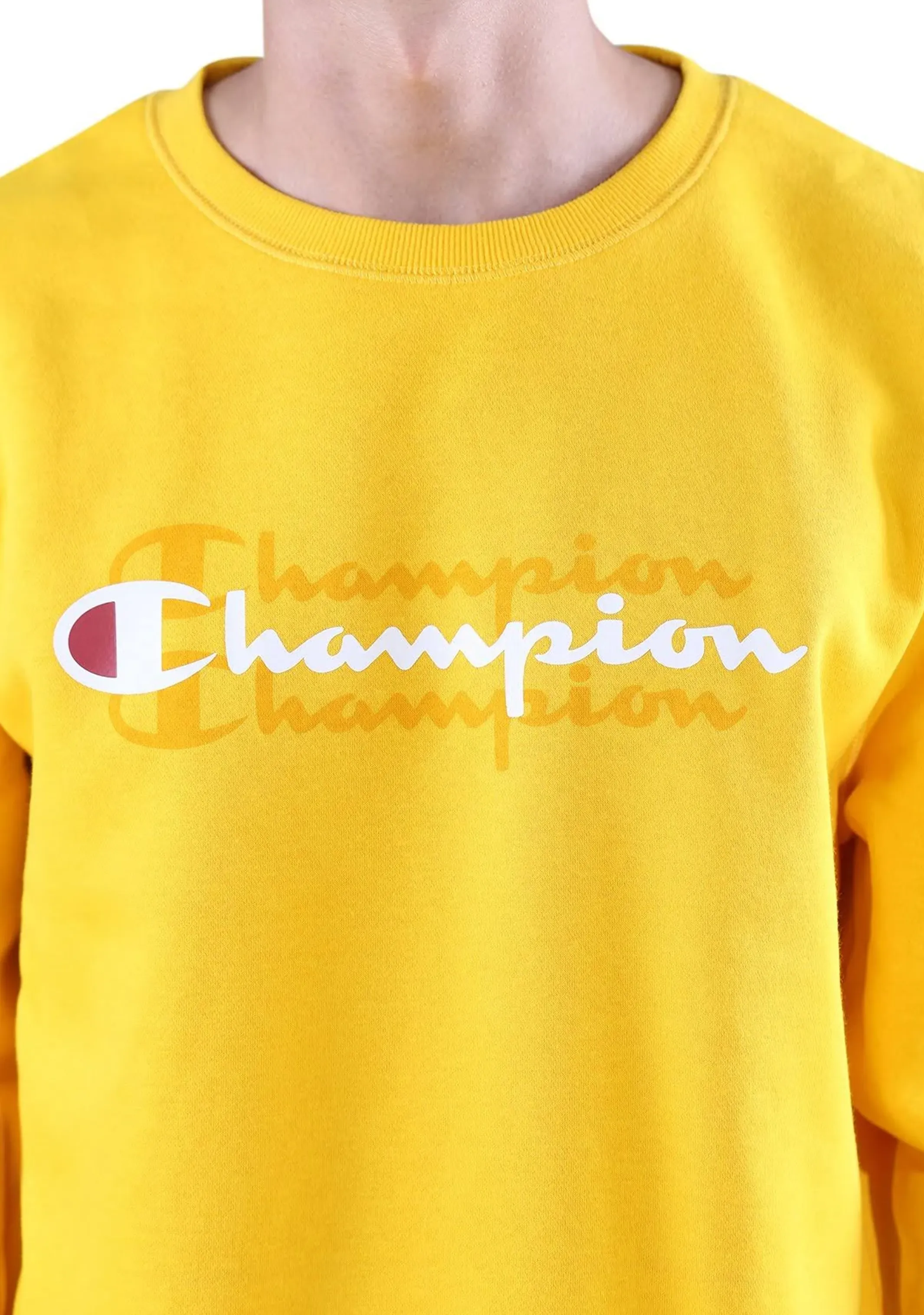 Champion Men??s Sporty Graphic Crew