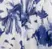 Lucinda Dress